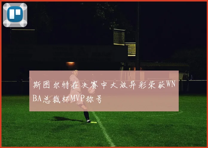 斯图尔特在决赛中大放异彩荣获WNBA总裁杯MVP称号